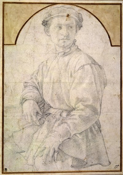 Study for a young man with a lute by Agnolo Bronzino