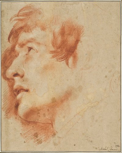 Head of a Young Man, Looking Up by Agostino Carracci