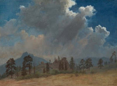 Fir Trees and Storm Clouds, c. 1870 by Albert Bierstadt