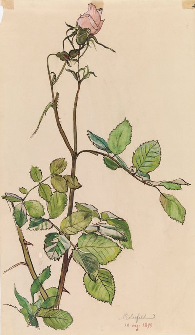 Rose by Albert Edelfelt