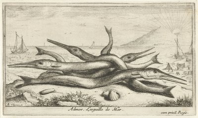 Pike on the Beach (Admos. The Sea Needle) (Fish and Other Sea Creatures - Saltwater Third Series) (Sea Fish) by Albert Flamen