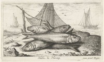 Herrings by a Fishing Net (Halec, Le Harang) by Albert Flamen