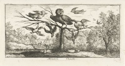 Landscape with Barn Owl among Other Birds (series: Bird Book) by Albert Flamen