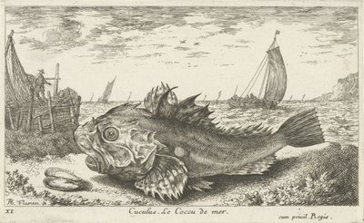 Poon on the Beach (Fish and Other Sea Creatures - Saltwater First Series) by Albert Flamen