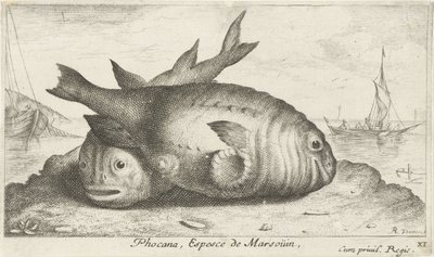 Two Porpoises on the Beach by Albert Flamen