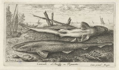 Two Dogfish on the Beach by Albert Flamen