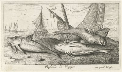 Four Red Mullets on the Beach by Albert Flamen