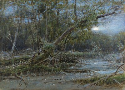 Fireflies, Demerera, c.1902 by Albert Goodwin