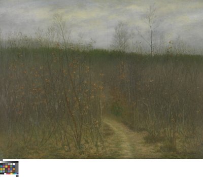 Coppice at Sint-Martens-Latem by Albijn Van den Abeele