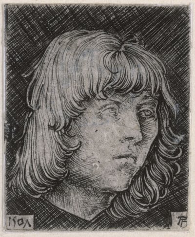 Head of a Young Man by Albrecht Altdorfer