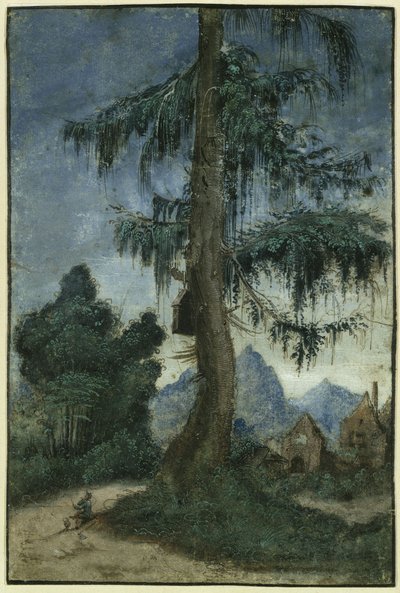 Landscape with Spruce by Albrecht Altdorfer