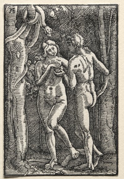 The Fall and Redemption of Man: Adam and Eve Eating the Forbidden Fruit by Albrecht Altdorfer