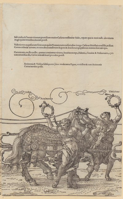 Acrimonia, Plate 6 from the Series 