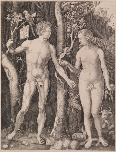 Adam and Eve by Albrecht Dürer