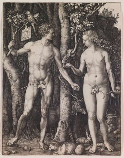 Adam and Eve by Albrecht Dürer