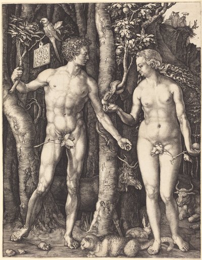 Adam and Eve by Albrecht Dürer