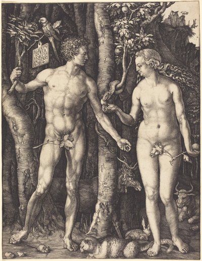 Adam and Eve by Albrecht Dürer