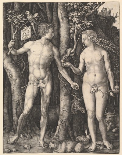 Adam and Eve by Albrecht Dürer