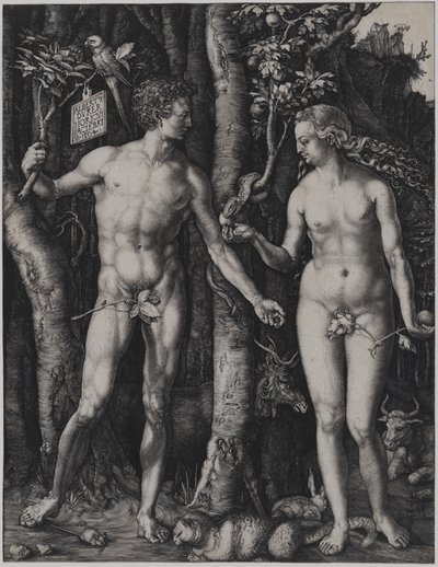 Adam and Eve by Albrecht Dürer