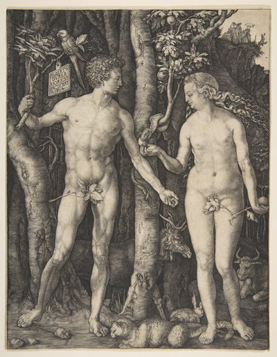 Adam and Eve by Albrecht Dürer