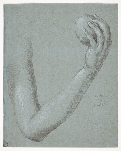 Arm of Eve by Albrecht Dürer
