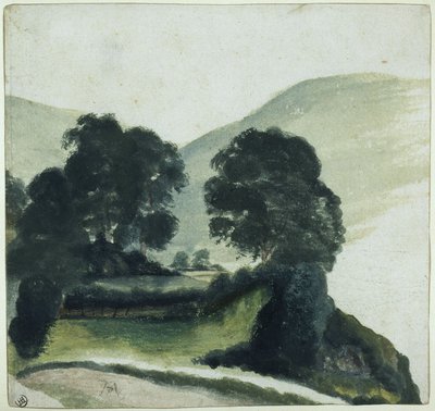 Group of Trees with a Path in the Mountains by Albrecht Dürer