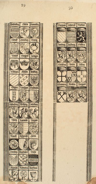 Detail by Albrecht Dürer