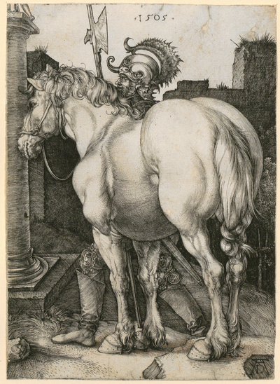 Large Horse by Albrecht Dürer