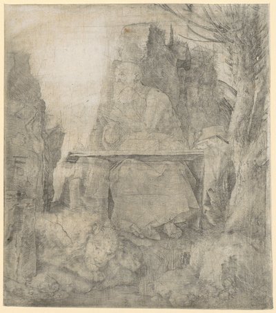 Saint Jerome beside the Willow Tree by Albrecht Dürer