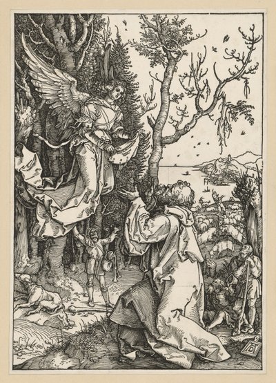 Joachim and the Angel (Life of the Virgin) by Albrecht Dürer
