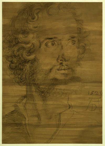 Head of the Evangelist Mark by Albrecht Dürer