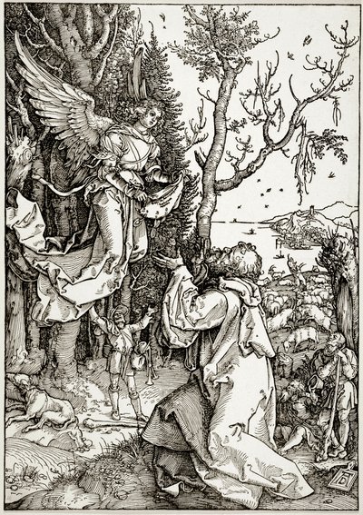 The Life of the Virgin: Joachim and the Angel (Bartsch 78) by Albrecht Dürer