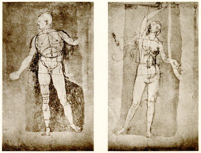 Proportion Study on Adam and Eve by Albrecht Dürer