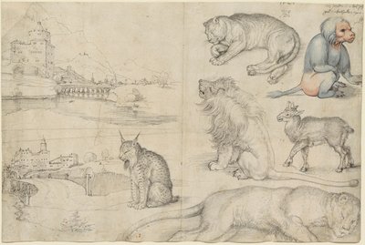 Sketches of Animals and Landscapes by Albrecht Dürer