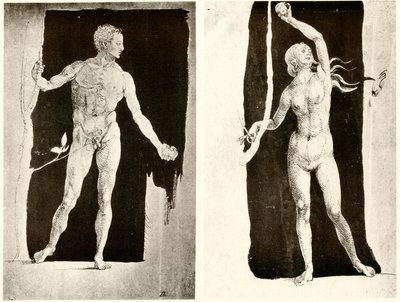 Studies on Adam and Eve by Albrecht Dürer