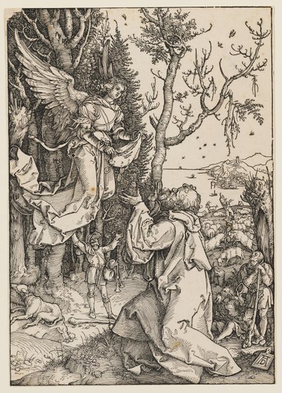The Angel Appearing to Joachim by Albrecht Dürer