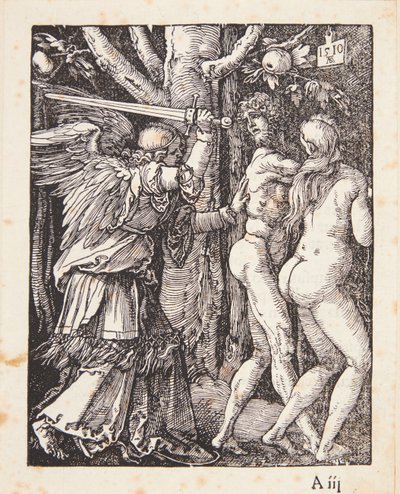 The Expulsion from Paradise by Albrecht Dürer