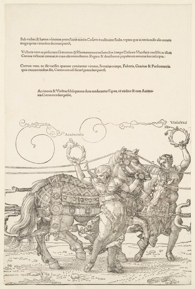 The Great Triumphal Chariot: Acrimony and Virility by Albrecht Dürer