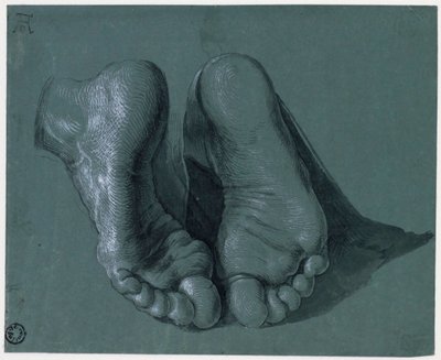 Study of Two Feet - Drawing by Albrecht Durer by Albrecht Dürer
