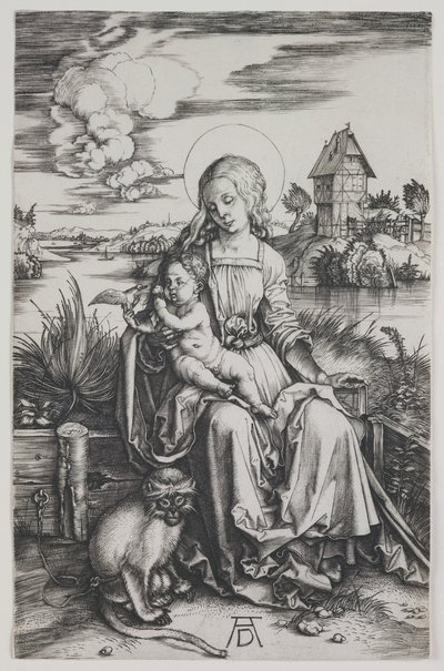 Madonna with the Monkey by Albrecht Dürer or Duerer