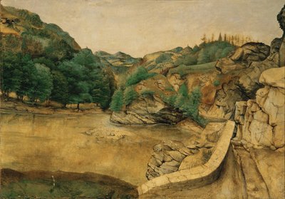 Path in the Alps by Albrecht Dürer or Duerer