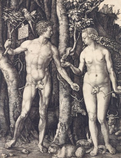 The Fall of Man by Albrecht Durer by Albrecht Dürer