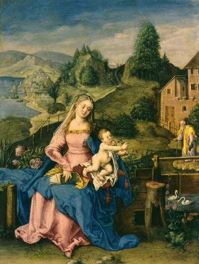 Virgin and Child in a Landscape by Albrecht Dürer