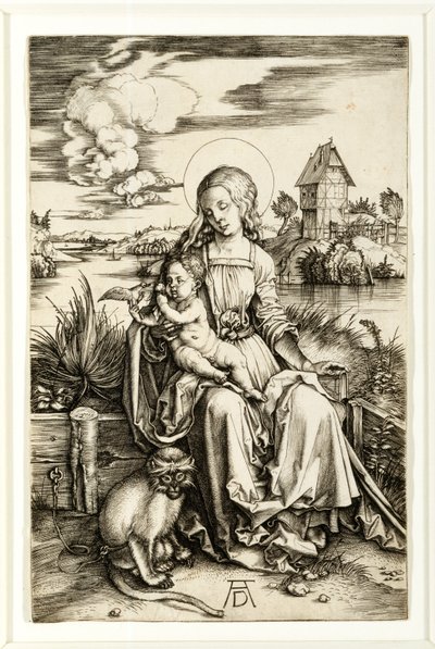 Virgin and Child with Monkey by Albrecht Dürer