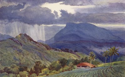 A Tropical Shower by Alexander Henry Hallam Murray