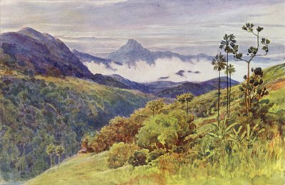 Morning Mists in the Valley of the Mahawelli Gangha by Alexander Henry Hallam Murray