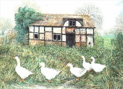 Geese Before a Timbered Cottage by Alexander Williams