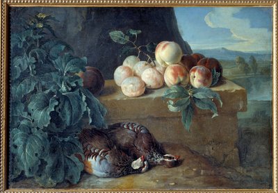 Peaches and Partridges by Alexandre Francois Desportes