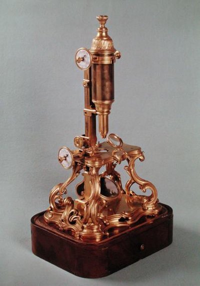 Microscope Belonging to Louis Auguste d