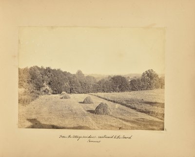 From the Cottage Windows - Eastward to the Sound - Summer by Alfred Booth